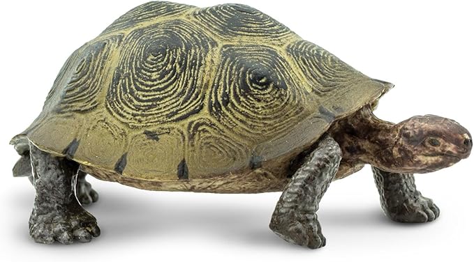 Safari Ltd. Desert Tortoise Figurine - Lifelike 3.25" Wildlife Figure - Educational Toy for Boys, Girls, and Kids Ages 3+