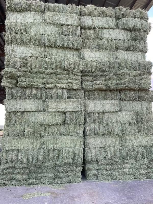 Fresh Alfalfa Hay 20Lbs by Bunny Honey - Natural Hay for Guinea Pigs, Rabbits, Hamsters, Hedgehogs, and More Small Animal Pets - Not Blended, Green Chopped & Delivered Fresh