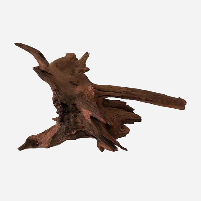 LYPHARD AQUARIUMS Natural Driftwood for Aquarium Decor, L21.26×W12.6×H11.81 Inches Large Drift Wood Decorations for Reptile Hide, Fish Tank, Optional Shapes