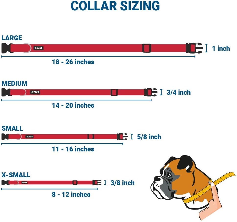 GoTags Personalized Dog Collar with Nameplate, Adjustable Dog Collar with Custom Engraved Slide On Pet ID Tag in Stainless Steel, Silent, No Noise Dog Tag for Large Medium and Small (Red, Medium)