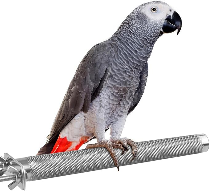KATUMO Bird Perch - Stainless Steel - Rough Surface Stand for Small to Medium Parrots (9.8 x 1.0 inch)