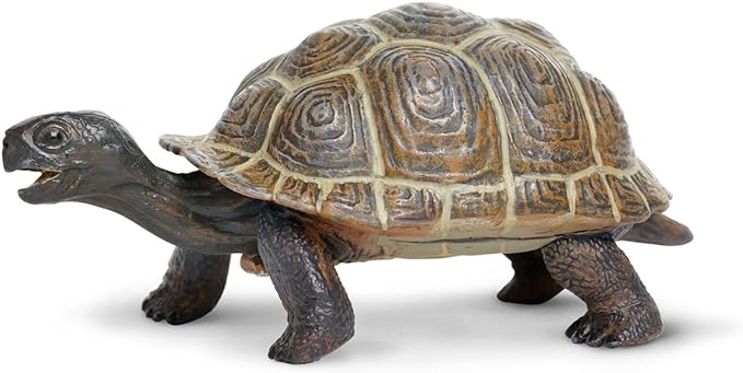 Safari Ltd. Tortoise Baby Figurine - Detailed 5.5" Plastic Model Figure - Fun Educational Play Toy for Boys, Girls & Kids Ages 18M+