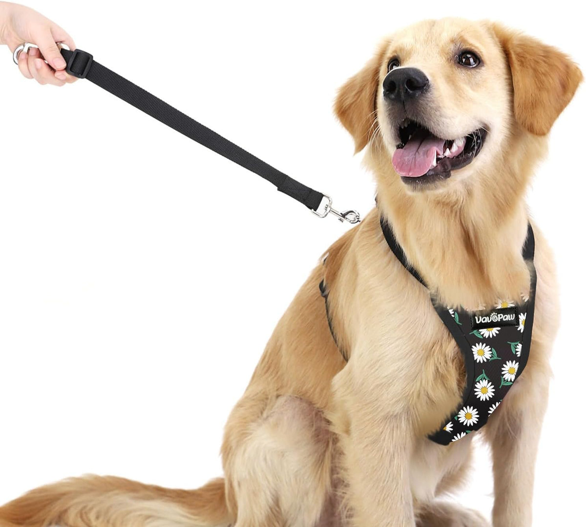 Dog Seat Belt, Safety Vest Dog Car Harness with Adjustable Buckle Dog Seat Belt for Vehicle Nylon Pet Safety Seat Belts Heavy Duty(S, Black Daisy)