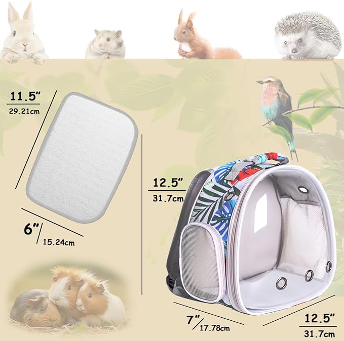 Hamster Backpack Carrier,Bearded Dragon Carrier Backpack for Kids with Clear Bubble Window,Small Animal Travel Backpack for Guinea pig Hedgehog Rat,Sugar Glider Airline Approved (Multicolor, Backpack)