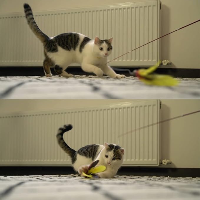 11PCS Cat Feather Toys Refills, 10PCS Feathers and 1PC String, Interactive Cat Wand Toy Replacement for Bored Indoor Adult Cats & Kittens