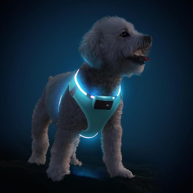 PceoTllar Light Up Dog Harness, LED No Pull Reflective Dog Harness, Flashing Lighted for Night Walking - Small/Medium, (Blue L)