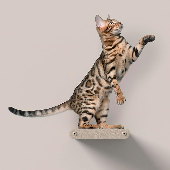 Wall Mounted Cat Steps Short Shelves (2) by Pryde Pets - Stairs for Walkways, 100% Sustainable PET Felt Feline Enrichment Climber Furniture for Indoor Cats, Modern Climbing Gym Design (Oatmeal)