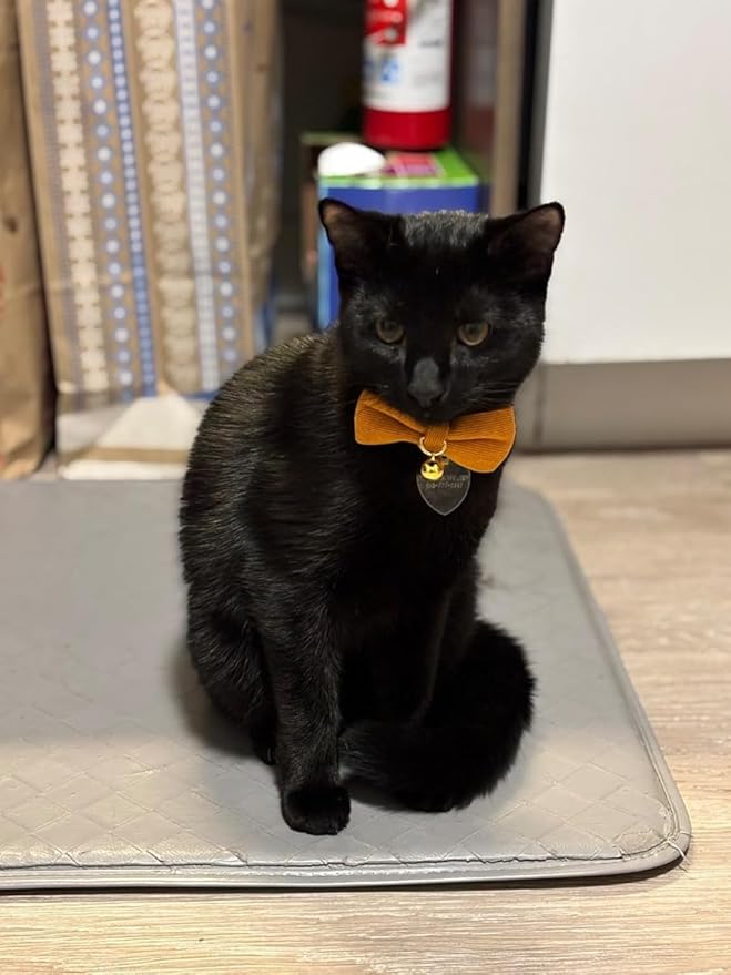 Cotton Breakaway Kitten Collar with Bow Tie and Bell Adjustable Cute Soft Corduroy Cat Collars for Small Cats(Orange,XS)