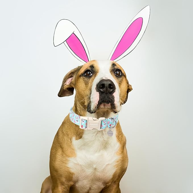 DOGWONG Easter Dog Collar, Blue Bunny Egg Dog Collar Soft Durable Adjustable Costume Cute Rabbit Easter Puppy Collar for Small Medium Large Dog