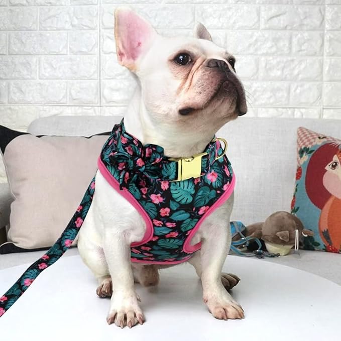 Beirui Cute Girl Dog Collars, Harnesses & Leashes Set - Adjustable Dog Collar and Leash Set with Flower - Soft Mesh Dog Vest Harness for Puppies Small Medium Dogs (Green,XS)