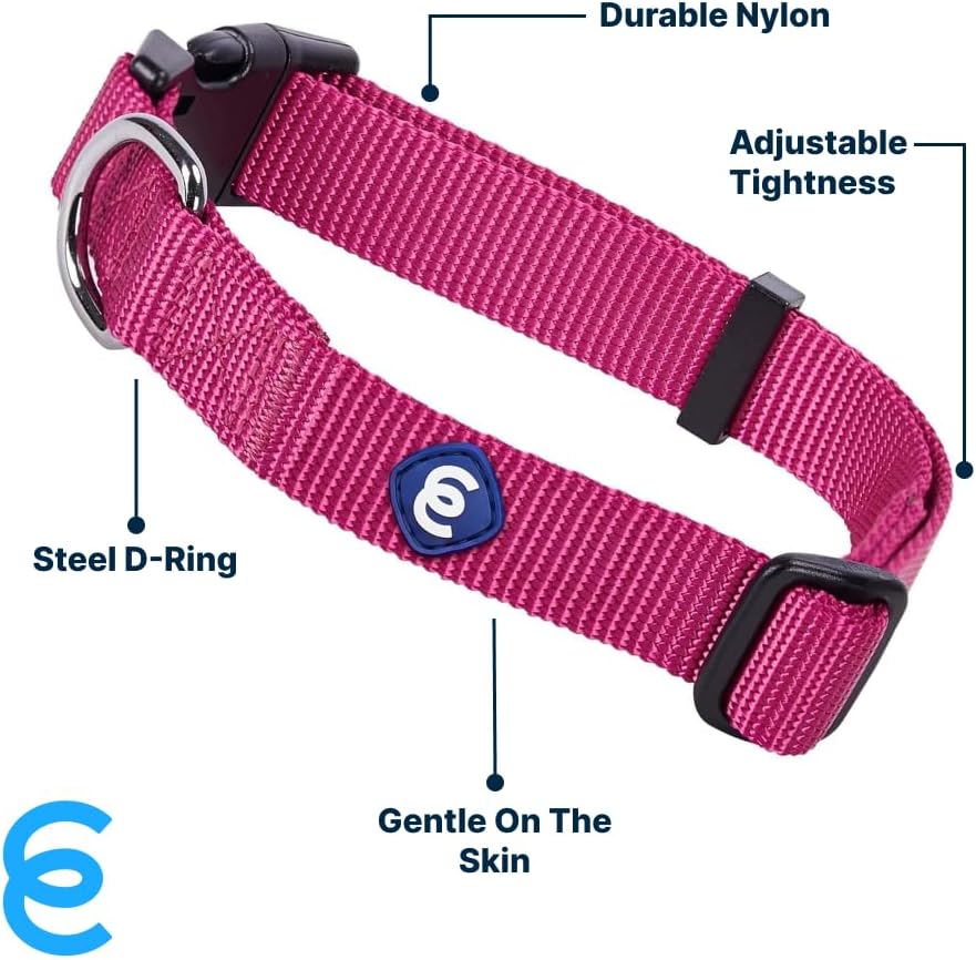 Blueberry Pet X-Small Dog Collar | Girl Dog Collars | Female Dog Collar XS | Quick Release Dog Collar | Very Berry Nylon Dog Collar for Girl, Collar for Small Dogs