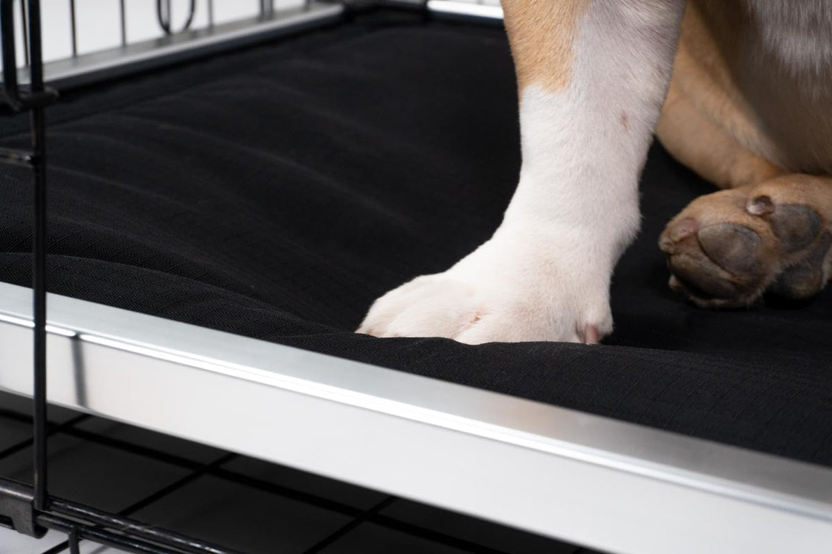 K9 Ballistics Chew Proof Armored Padded Dog Crate Bed, Virtually Indestructible, Legs Included (Blue Quartz, Large (41" L x 27" W x 5" H))