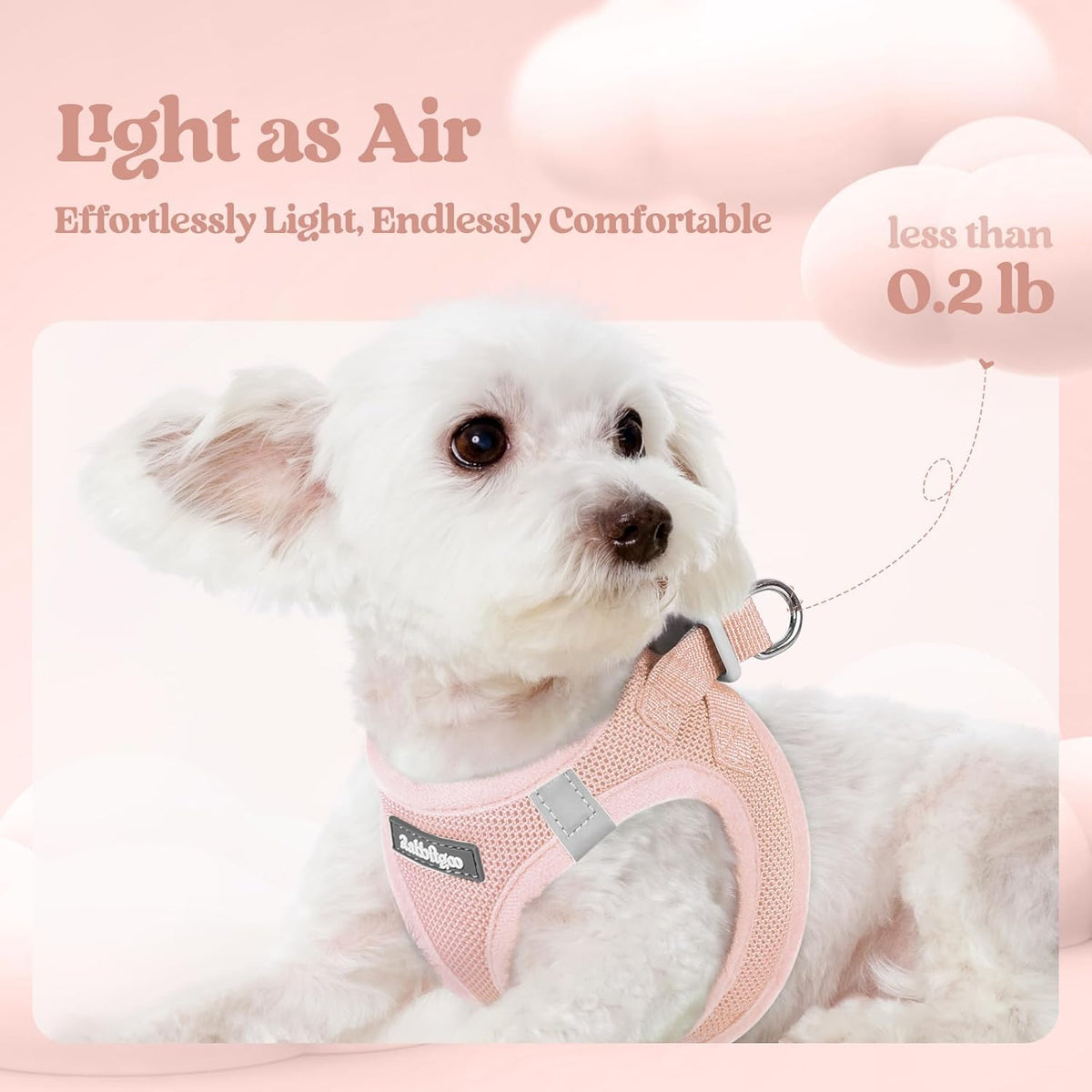 rabbitgoo Dog Harness Small Sized and Leash Set, Step in Soft Light Puppy Vest, Breathable Mesh Pet Harness, Reflective for Safe Outdoor Walking, Pink S