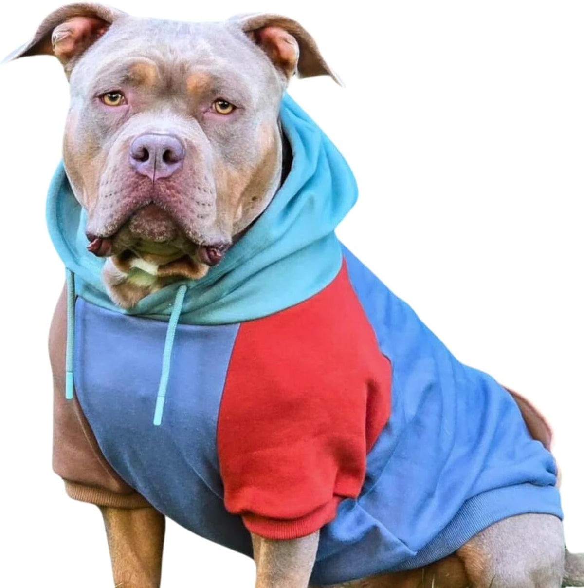 Spark Paws Dog Hoodie – Premium Dog Sweater for Small, Medium, and Large Dogs | Warm Outfits for French Bulldogs, Pitbull, Puppy, Winter Jacket Alternative - Alpine - 3XL