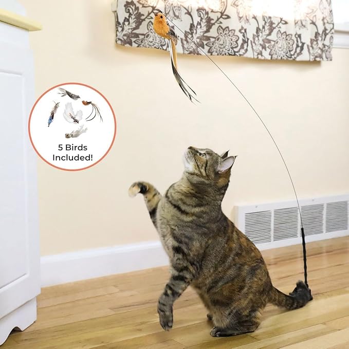 Whiskertons Interactive Bird Simulation Cat Toy Set, Interactive Cat Toys for Indoor Cats, Cat Feather Toy, Self-Holding Suction Base, 5 Replacement Birds, Feathers & Bells (Standard Hybrid Bundle)
