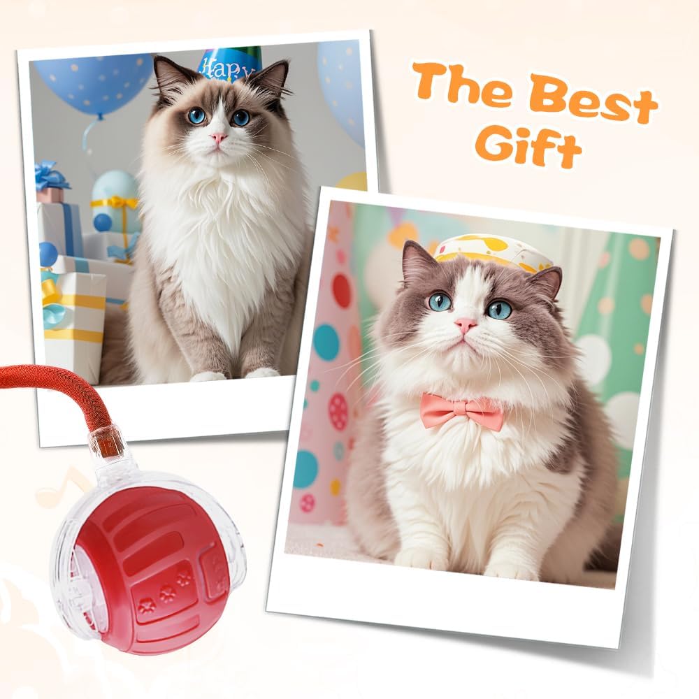 2026 New Interactive Pet Toy Ball, Smart Interactive Toy Ball for Cats & Dogs, Electric Rolling Pet Toy Ball, Rechargeable Interactive Cat Toys for Bored Indoor Cats Kittens to Keep Busy (Green)