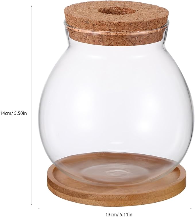Desktop Fish Bowl Clear Glass Small Betta Fish Tank with Wood Lid and Bamboo Stand Table Hydroponic Plants Terrarium for Home Office Decoration 13 * 14cm