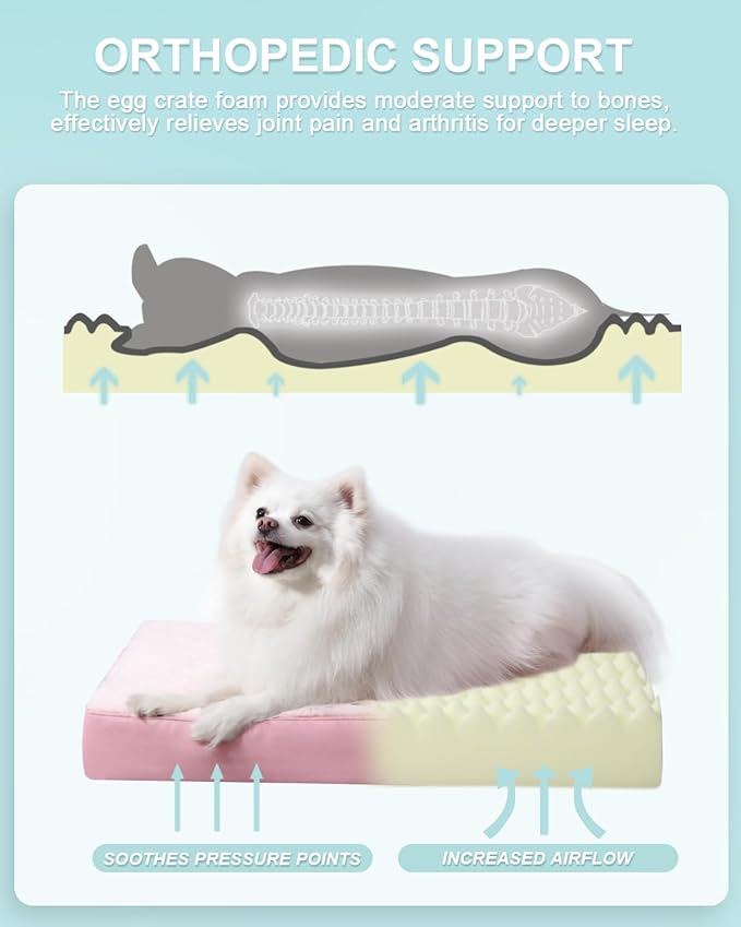 KSIIA Orthopedic Dog Bed Waterproof Pet Bed for Small Dogs Deluxe Plush Washable Dog Bed with Egg Crate Foam & Removable Cover, 23 x 17 Inch, Pink
