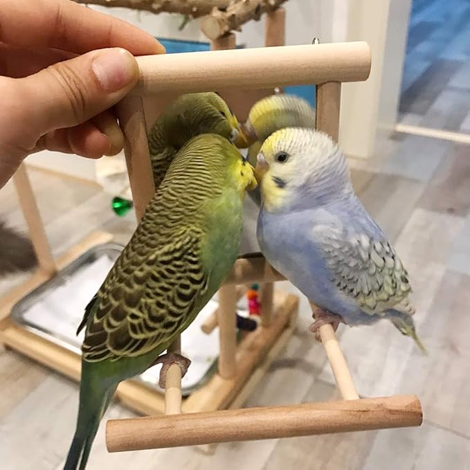 HANZE Bird Mirror With Swing, Hummingbird Perches for Parrots Stand, Wooden Toy for Macaws, Lovebird, Cockatoo, Parakeet, Conure, Finch, Cockatiels - 4 Pack