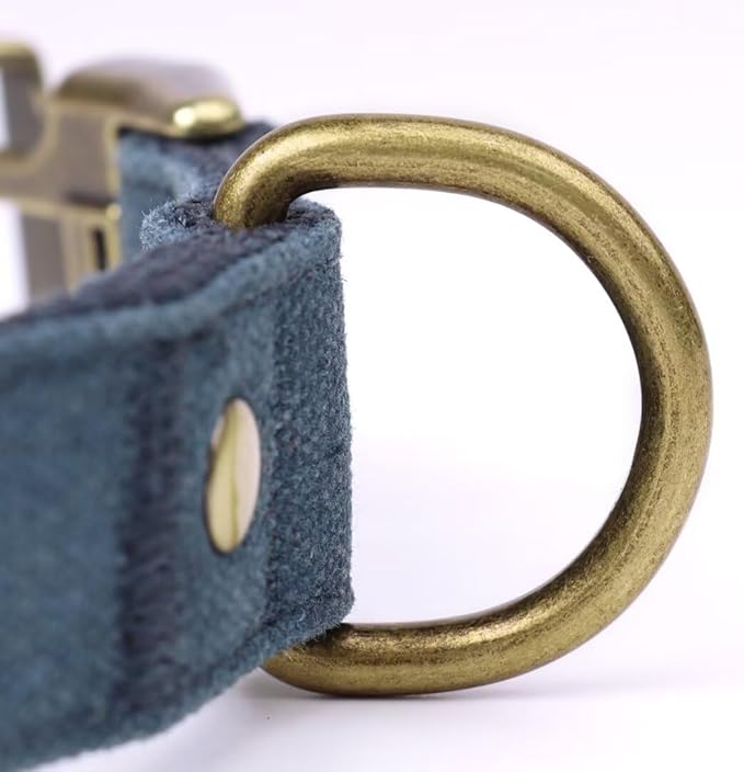 PET ARTIST Dog Collars for Small Dogs, Soft Padded Premium Nylon Dog Collar with Quick Release Metal Buckle, Durable & Adjustable Pet Collars for Boy Gifts, Blue, S (Fit 10-16")