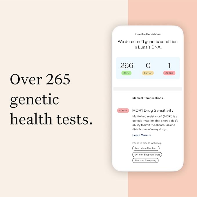 Wisdom Panel Premium Dog DNA Kit: Most Comprehensive with 265+ Health Tests, Identify 365+ Dog Breeds, 50+ Traits, Relatives, Ancestry, Genetic Diversity - Pack of 1