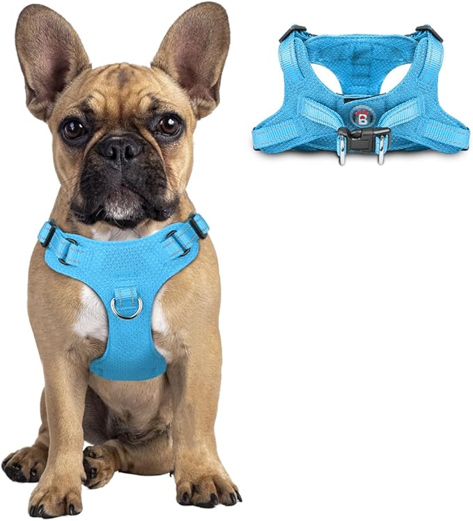 Dog Harness Step in Dog Vest Harness, Reflective Adjustable Puppy No Pull Harness Breathable Soft for Small and Medium Dogs Cats, Blue, S