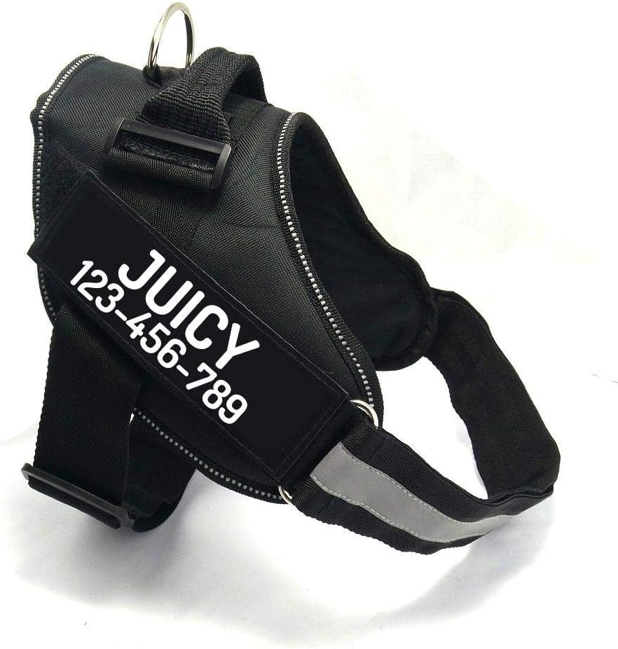 PawPawify Custom No Pull Dog Harness with Name and Phone Number, Heavy Duty Personalized Pet Vest to Prevent Tugging, Pulling, or Choking, Training and Walking (Black, S (10-19LBS))