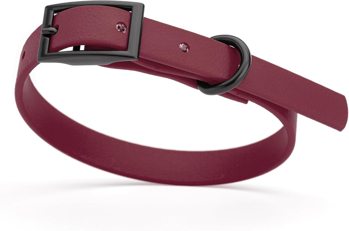 Dogline Biothane Waterproof Dog Collar Strong Coated Nylon Webbing with Black Hardware Odor- Proof for Easy Care Easy to Clean High Performance Fits Small Medium or Large Dogs, Merlot Burgundy