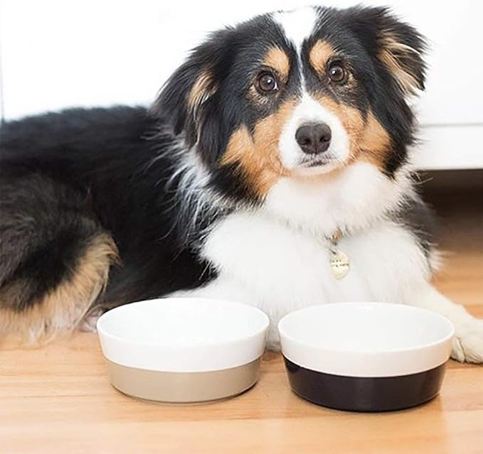 Waggo Dipper Ceramic Dog Bowl for Small and Large Breeds - Heavyweight and Durable Pet Food and Water Dish Crock, Dishwasher Safe, Modern (Midnight, Large)