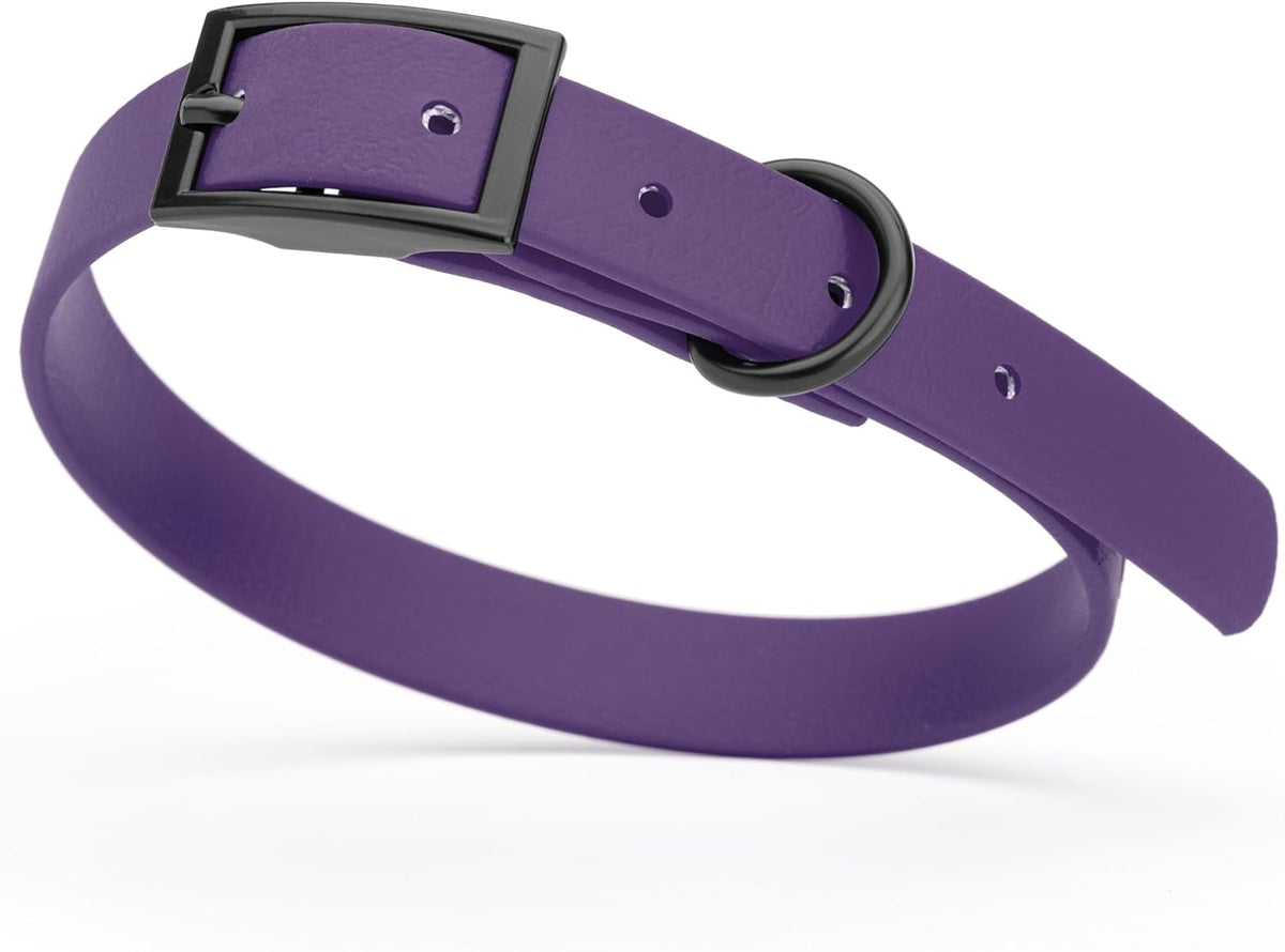 Dogline Biothane Waterproof Dog Collar Strong Coated Nylon Webbing with Black Hardware Odor- Proof for Easy Care Easy to Clean High Performance Fits Small Medium or Large Dogs, Violet Purple
