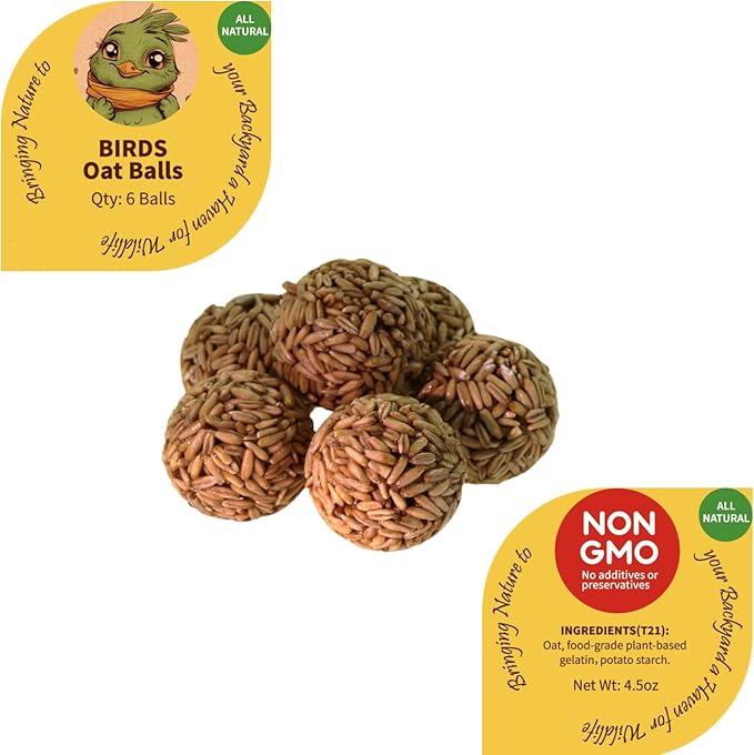 Bird Seeds Balls, 48 Pieces, with Sunflower Seeds, Oat and Mealworms, for Wild Bird, Squirrel, Chicken and Wildlife Small Animal. All in Nature Nutritious Food for Wild Small Animal