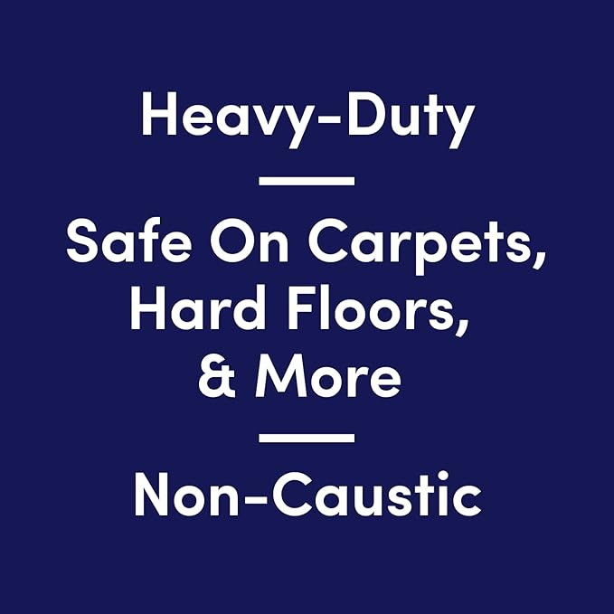 Bioesque Advanced Stain + Odor Remover, Pet-Friendly Natural Enzymatic & Bacterial Formula, Heavy-Duty Stain & Odor Remover, Safe on Carpets, Hard Floors, & More, 32 Fl Oz (Pack of 6)