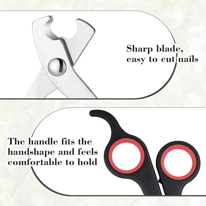 Lasnten 2 Pcs Bird Nail Grinder with Bird Nail Clipper Bird Nail Trimmer Bird Nail File with LED Lamp Grooming Tool for Bird Parrot Budgerigars Parakeets Myna Conure Finches Lovebirds (Black)