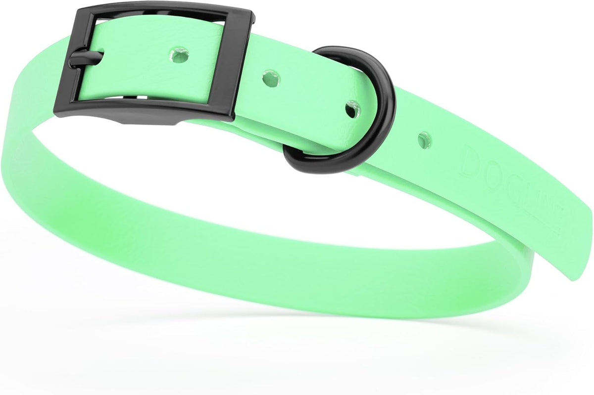 Dogline Biothane Waterproof Dog Collar Strong Coated Nylon Webbing with Black Hardware Odor- Proof for Easy Care Easy to Clean High Performance Fits Small Medium or Large Dogs, Sea Foam Green