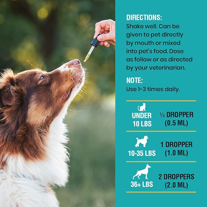 Special Breed Allergy & Immune with Elderberry, Allergy Relief for Cats and Dogs, Anti Itch Treatment, Relief for Pet Allergies, Immune Support for Cat or Dog, 4 oz