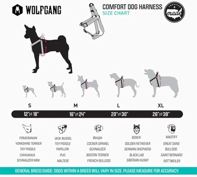 Wolfgang Heavy Duty Adjustable Dog Harness, Pull-Tested to Over 800 lbs for Walking & Training, Quetzal Print, Large