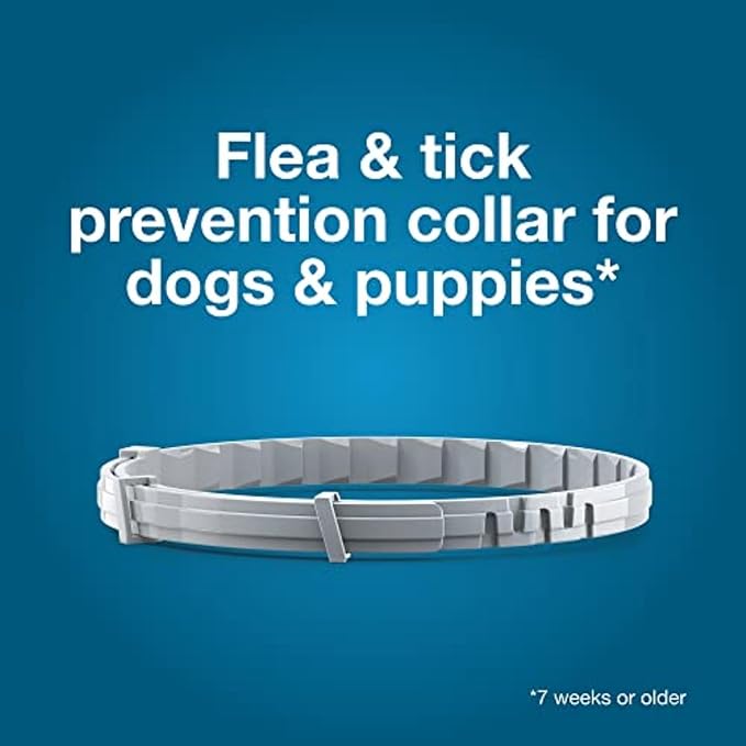 Seresto Large Dog Vet-Recommended Flea & Tick Treatment & Prevention Collar for Dogs Over 18 lbs. | 8 Months Protection