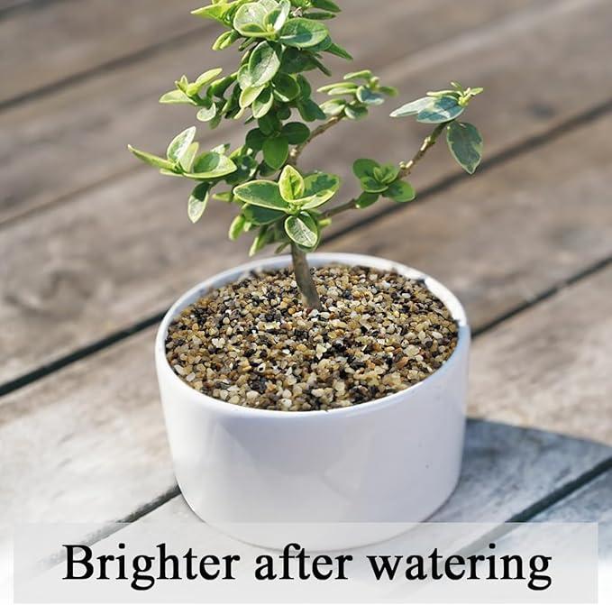 5 lbs Fish Tank Sand, 1/16 inch Mini Aquarium Gravel, Decorative Pea Gravel Stones for Air Plants, Vase Fillers, Landscaping and Succulent Soil Cover