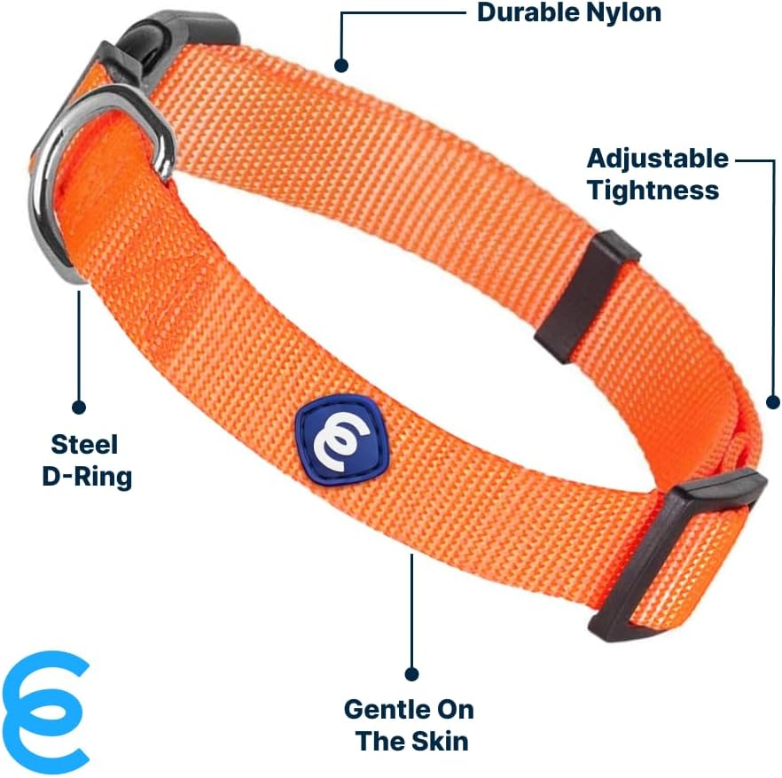 Blueberry Pet Essentials Small Dog Collar | Girl Dog Collars Fall | Female Dog Collar Small | Florence Orange Dog Collars for Small Dogs | Quick Release Dog Collar | Florence Orange Nylon Dog Collar