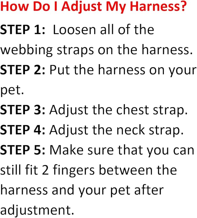 Best Pet Supplies Voyager Adjustable Step-in Flex Breathable Mesh Dog Harness for Small Medium Large Dogs Leash Set (Turquoise), S
