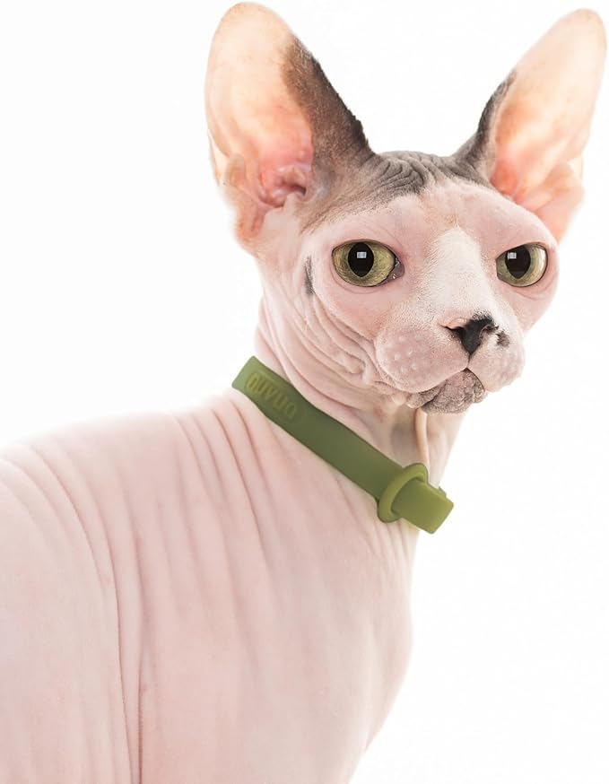 Breakaway Cat Collar - Soft, Comfortable, and Lightweight Safety Buckle Collar with Name Tag Ring for Outdoor Cats and Sensitive Skin Kittens by Nuvuq (6 ⅞" to 10 ¼", Green)