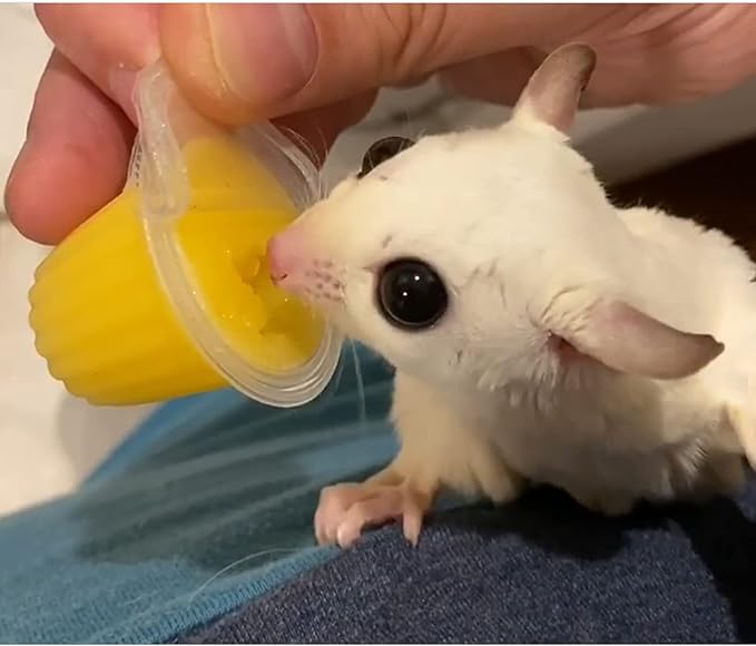 Nectar Pods (Pineapple) - Calcium-Fortified Jelly Fruit Treat - Sugar Gliders, Marmosets, Squirrels, Parrots, Cockatiels, Parakeets, Birds, Hamsters, Day Geckos, Kinkajous & Other Small Pets
