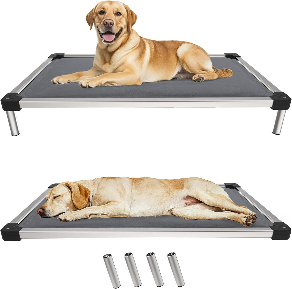 FXW TitanNest Chew-Proof Elevated Dog Bed, Raised Cot for Indoor/Outdoor/Camping Use, Durable & Washable Padded Pet Bed for Extra-Large Dogs, 56.0" L x 31.0" W x 7.3" H, Gray