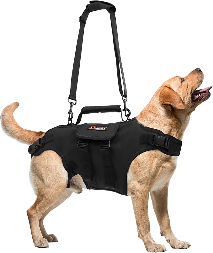 Dog Lift Harness, Full Body Dog Lift Harness, with Adjustable, Control Handle, for Senior Dogs, Post Surgery Recovery, Dogs with Joint Problems, Oxford Cloth L