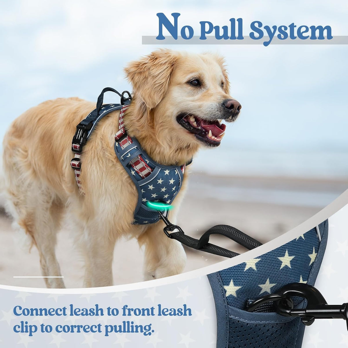 rabbitgoo Dog Harness No Pull with 2 Leash Clips, Adjustable Soft Padded, Reflective Oxford No Choke Pet Vest with Easy Control Handle for Large Dogs, Blue Star, L
