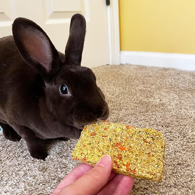 Hamiledyi Rabbit Chew Toys 24 Pieces Guinea Pig Chew Toys for Teeth Natural Grinding Teeth for Chinchilla Bunny Hamster Gerbil Rat Small Animals
