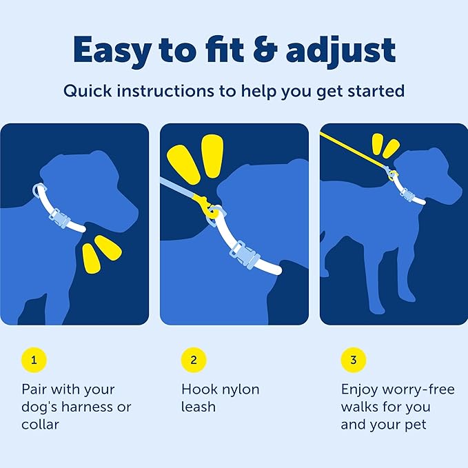 PetSafe Nylon Leash - Helps Maintain Secure Connection on Walks - Durable Pet Leash with Easy Clip - 1 in. x 6 ft. - Apple Green