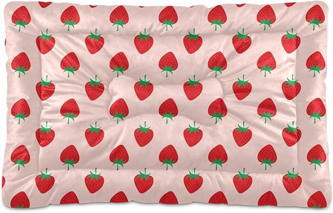 Pet Bed Strawberry Fruit Dog Bed Mat Absorbing Non Slip Pad Pet Sleeping Mat for Small, Medium, and Large Dogs Puppy Cat 36 in x 24 in