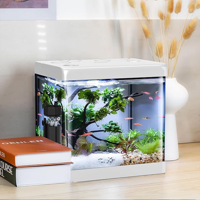 Small Fish Tank,5 Gallon Glass Aquarium Betta Fish Tank Starter Kit with Filter and LED Light.（White）