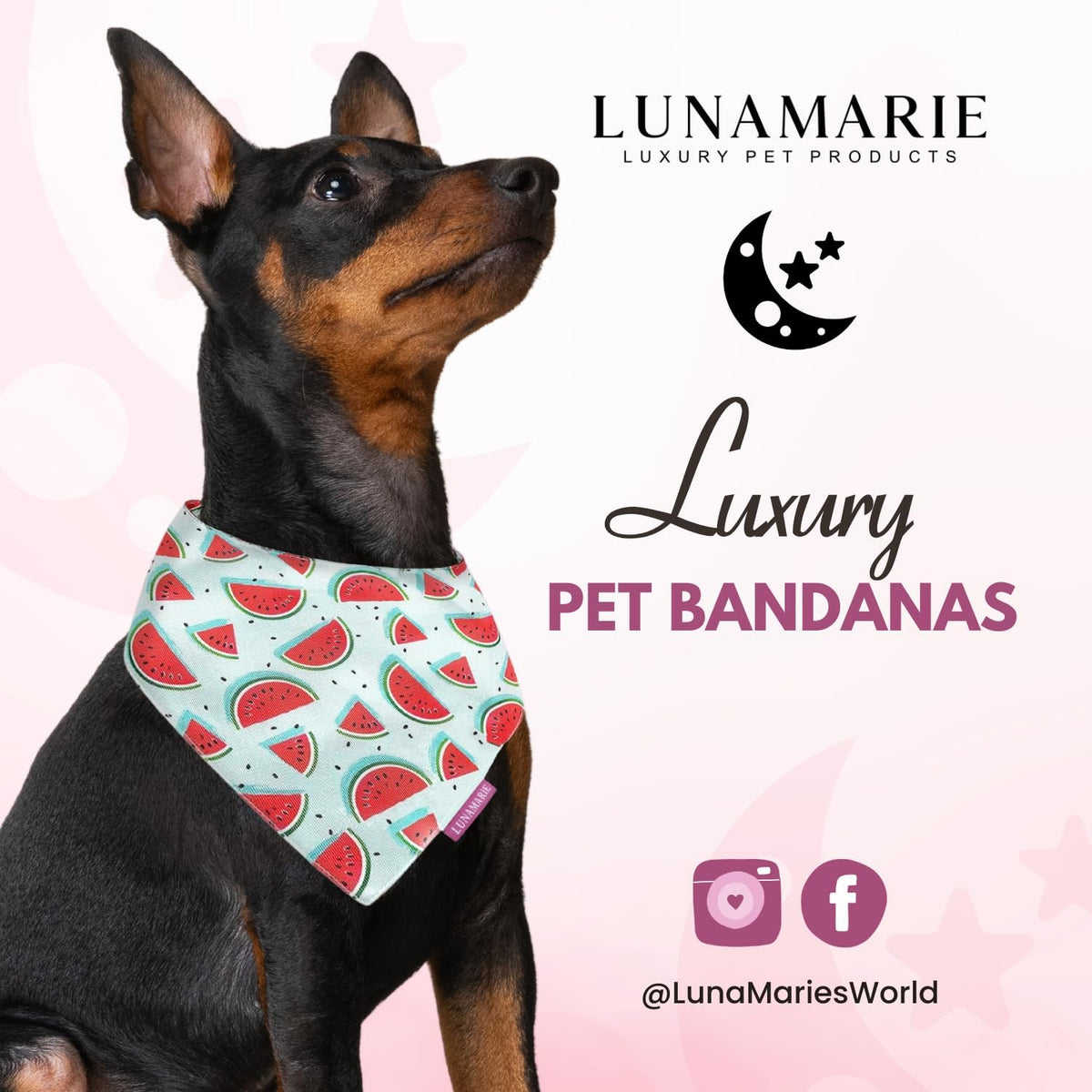 LunaMarie - Luxury Pet Birthday Bandanas -Premium & Silky Poly Fabric | 100% Handmade | Custom Shape Dual Layered (Watermelon, X-Small)